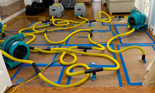 Professional Water Damage Restoration technician working in Shenandoah, PA